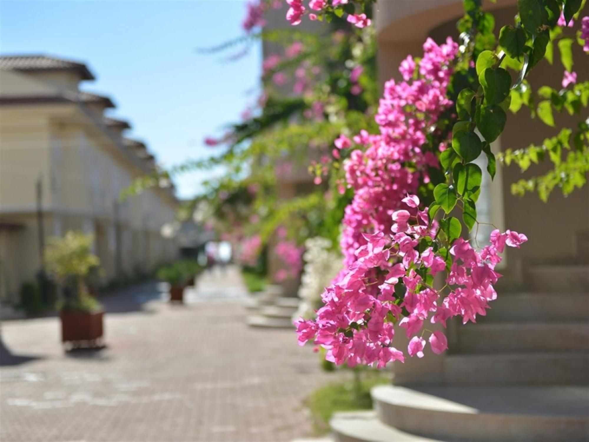 Sunset Beach Club Lebrentals Фетие Екстериор снимка